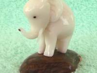 Elefante piccolo
